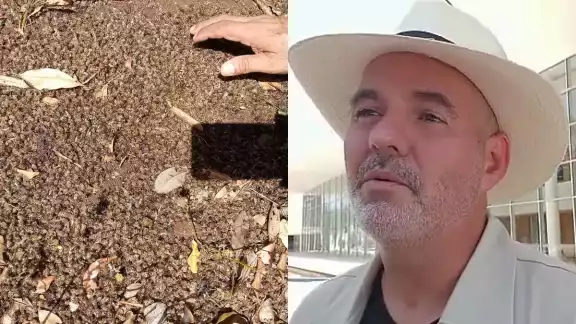 Glifosato está afectando también a la población en la zona de los Chenes Glifosato está afectando también a la población en la zona de los Chenes