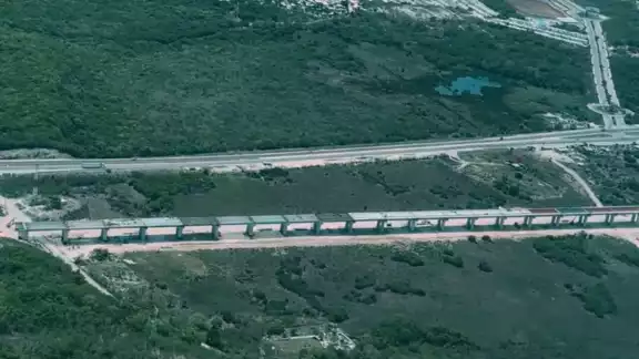 El Tren Maya preservará la seguridad de las especies de la zona Sureste El Tren Maya preservará la seguridad de las especies de la zona Sureste