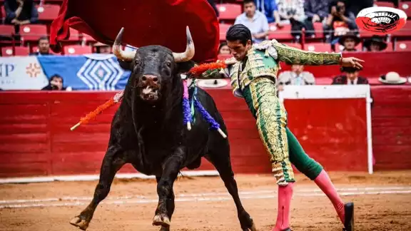 El 7 de febrero se llevará a cabo la audiencia incidental, donde se determinaría si habrá una suspensión definitiva y luego el amparo
El 7 de febrero se llevará a cabo la audiencia incidental, donde se determinaría si habrá una suspensión definitiva y luego el amparo