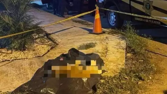 El perro fue llevado a un veterinario, pero ya no tenía signos vitales El perro fue llevado a un veterinario, pero ya no tenía signos vitales