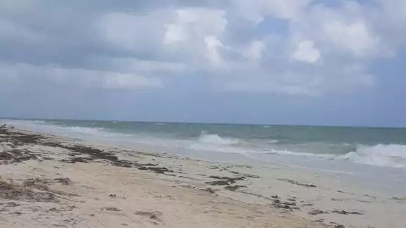 La Surada se presentará en Quintana Roo esta semana