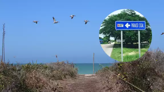 572 especies de fauna son amenazadas por la erosión causada en Paraíso Sisal