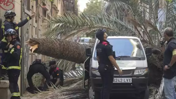 La joven trabajaba en una oficina cercana al lugar del accidente La joven trabajaba en una oficina cercana al lugar del accidente
