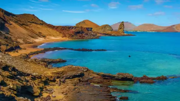 El descubrimiento fue en la Isla Galápagos en Ecuador. Foto: Especial El descubrimiento fue en la Isla Galápagos en Ecuador. Foto: Especial