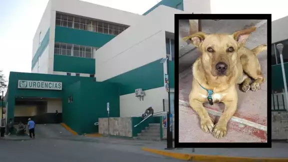 Los reclamos no se hicieron esperar en redes sociales Los reclamos no se hicieron esperar en redes sociales