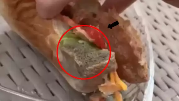 La joven compró su comida en la cafetería “Tucán 2”.
La joven compró su comida en la cafetería “Tucán 2”.