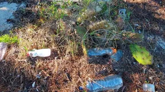 La habitante señaló que el nivel del mar sube varios metros para jalar lo que esté a su paso como los residuos
