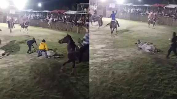 El toro al caer murió de manera instantánea