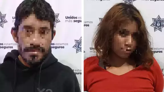 Los presuntos intentaban llevarse televisiones y botellas de licor Los presuntos intentaban llevarse televisiones y botellas de licor