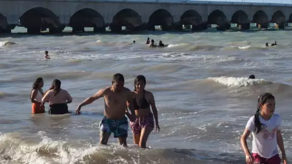 Diversos animales podrían haber ocasionado lesiones en bañistas de Progreso Diversos animales podrían haber ocasionado lesiones en bañistas de Progreso