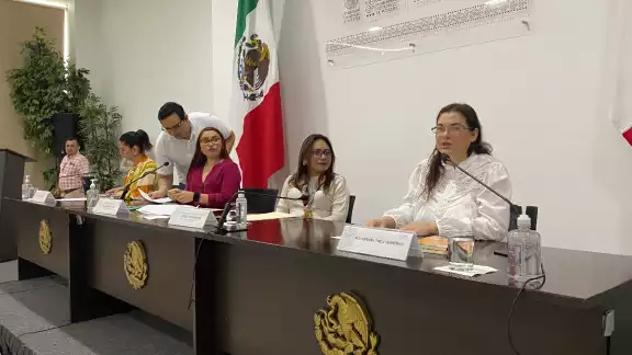 La presidenta de la Comisión, Jazmín Villanueva Moo, señaló que serán respetuosos de las resoluciones que se vayan a tomar La presidenta de la Comisión, Jazmín Villanueva Moo, señaló que serán respetuosos de las resoluciones que se vayan a tomar