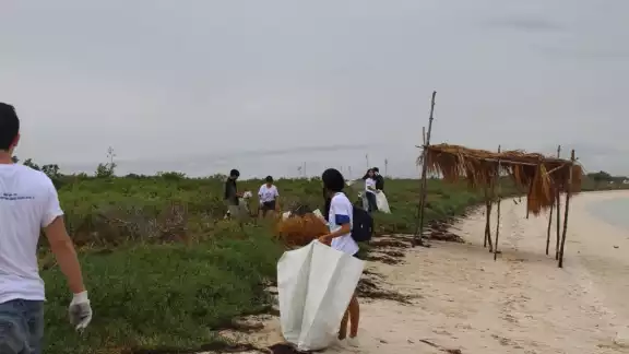 Las acciones fueron encabezadas por la Secretaría de Desarrollo Sustentable de Yucatán Las acciones fueron encabezadas por la Secretaría de Desarrollo Sustentable de Yucatán