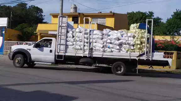 De acuerdo con testigos, el hombre no se fijó al cruzar la calle
