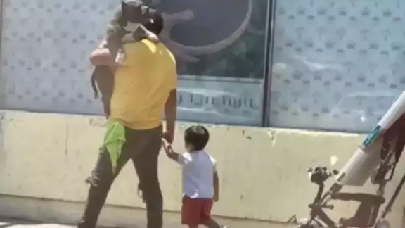 Los usuarios de redes sociales pedían conocer porque llevaban al perro en brazos Los usuarios de redes sociales pedían conocer porque llevaban al perro en brazos