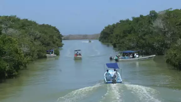 Río Lagartos y las Coloradas ofrecen servicios a visitantes respetando la naturaleza
