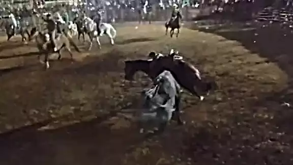 El cuerpo del caballo fue abandonado en el basurero municipal de Kimbilá El cuerpo del caballo fue abandonado en el basurero municipal de Kimbilá