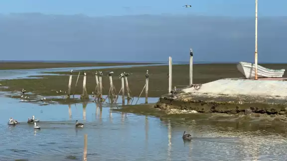 La vaciante marina es un fenómeno que sucede en las costas