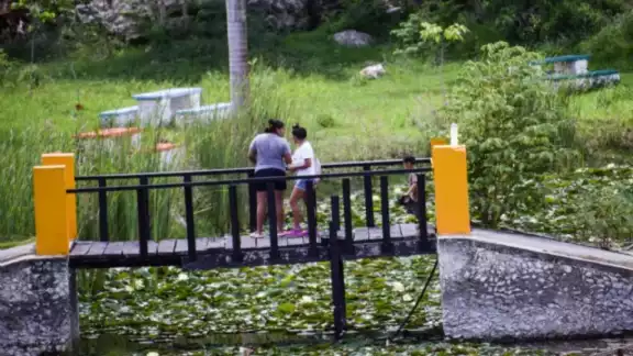 El Acuaparque de Mérida dejó de recibir visitantes debido a su descuido El Acuaparque de Mérida dejó de recibir visitantes debido a su descuido
