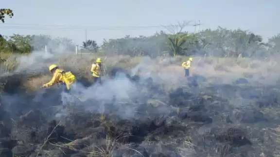 Los brigadistas llegaron con bombas de agua para sofocar el incendio