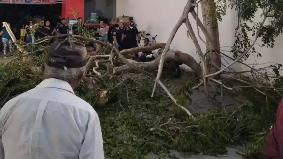 El hombre fue trasladado a un hospital de Mérida, donde se reportó como estable El hombre fue trasladado a un hospital de Mérida, donde se reportó como estable
