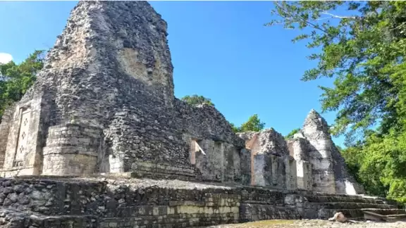 Preservarán la segunda zona ecológica más grande de América, sólo por detrás del Amazonas en Brasil Preservarán la segunda zona ecológica más grande de América, sólo por detrás del Amazonas en Brasil