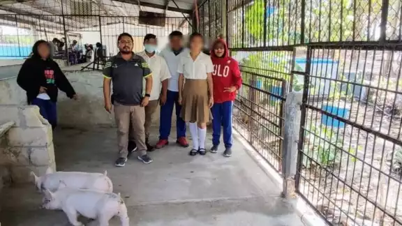 Los pollos servían en la secundaria para un proyecto de engorda Los pollos servían en la secundaria para un proyecto de engorda