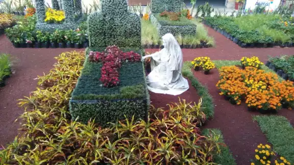 El Camino de Flores podría tener más de 20 mil tipos de plantas El Camino de Flores podría tener más de 20 mil tipos de plantas