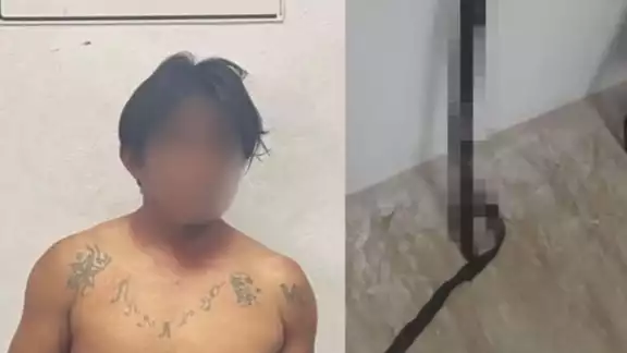 El hombre fue detenido y entregado a las autoridades correspondientes El hombre fue detenido y entregado a las autoridades correspondientes