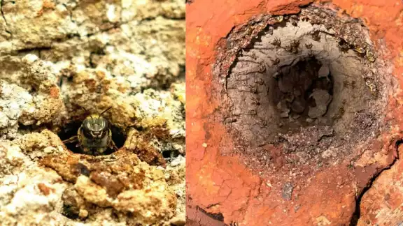 Los costos serán elevados por la situación Los costos serán elevados por la situación