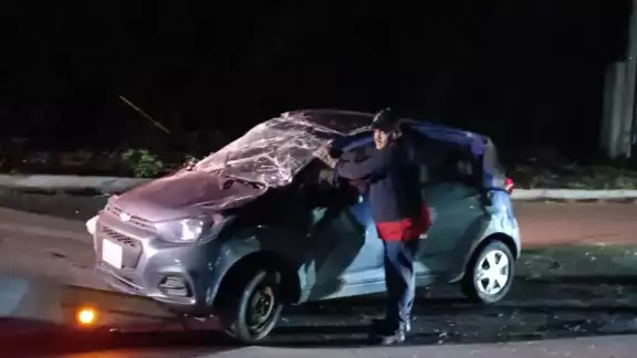 El conductor huyó del lugar pues se cree que estaba ebrio El conductor huyó del lugar pues se cree que estaba ebrio