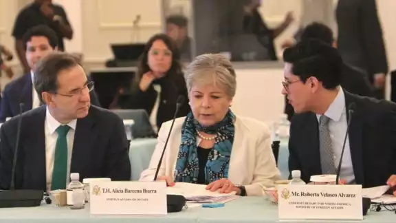 Alicia Bárcena fue en representación del Gobierno de México Alicia Bárcena fue en representación del Gobierno de México