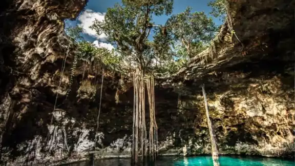 En la expo se busca crear conciencia sobre la importancia de los cenotes En la expo se busca crear conciencia sobre la importancia de los cenotes