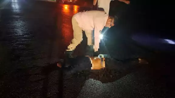 El camión se dio a la fuga tras el hecho El camión se dio a la fuga tras el hecho