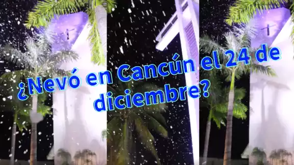 La situación logró engañar a muchos por redes sociales
