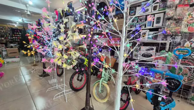 Comerciantes de Champotón aseguran que las ventas en tiendas físicas siguen firmes pese al crecimiento del comercio en línea.