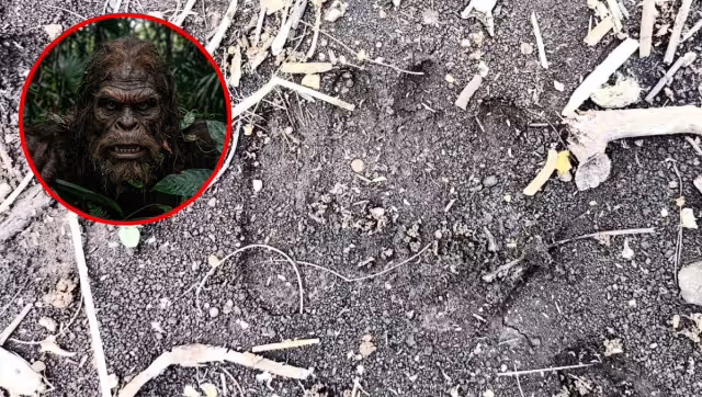 En las comunidades de Yucatán se cree que el Sincinito camina al revés