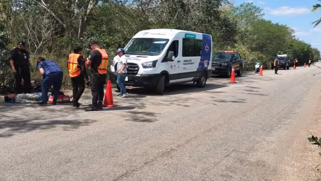 Un perro fue el causante del accidente en Muna
