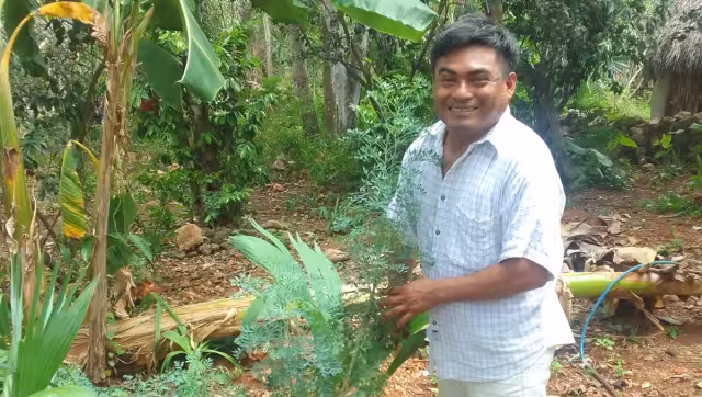 Curar con hierbas también es espiritualidad, afirma joven sacerdote maya de Peto