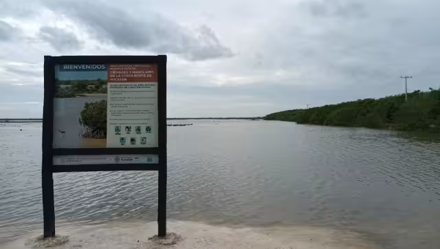 De acuerdo con los habitantes del puerto, la creciente marina suele durar alrededor de una semana