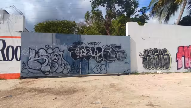 Según la Alcaldesa, los autores son jóvenes integrantes de pandillas o “banditas”. (