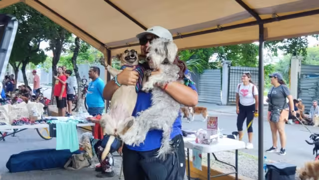 Playenses llegaron con sus 'perrihijos' para participar en la competencia pedestre, que se llevó a cabo en la Quinta Avenida