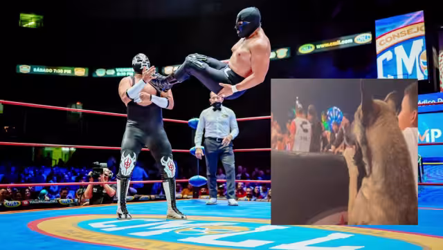 La lucha libre es uno de los deportes más populares en México