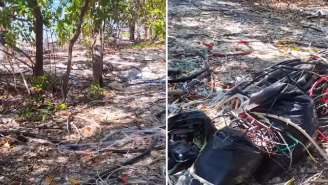 Denuncian presunto delito ambiental en manglares del Estero Pargo