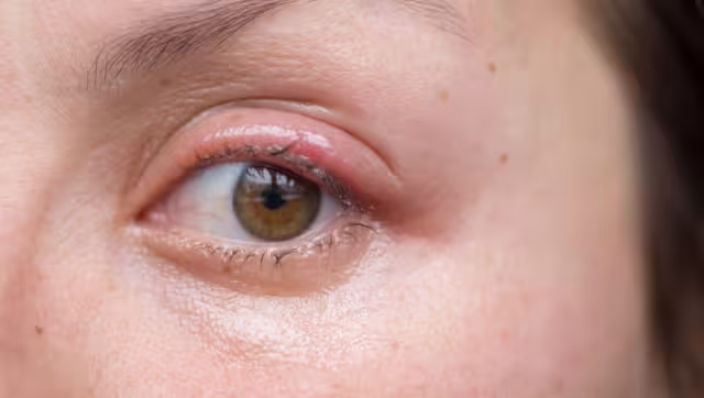 Quien visita el estado no sólo puede conocer la gastronomía, música, arquitectura, también su lengua