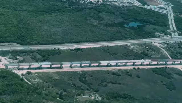 El Tren Maya preservará la seguridad de las especies de la zona Sureste