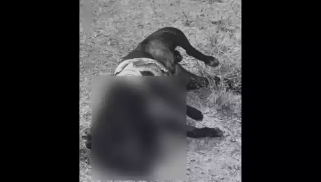 El presidente municipal, José María Castro Félix, no tenía conocimiento previo de los hechos denunciados