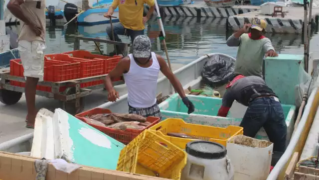 Chitamona contó que con las ganancias obtenidas mejoró su vivienda, adquirió una estufa, un refrigerador y una pantalla de televisión
