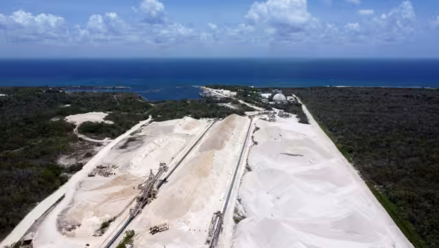 La actividad minera acabó con la diversidad del sitio, al afectar 942 especies: 529 de fauna y 413 de flora, incluidas algunas en peligro de extinción