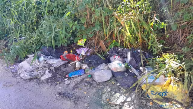 La basura en los baldíos se convierte en criadero de mosquitos y animales ponzoñosos