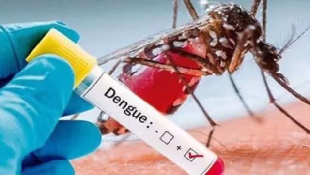 Quintana Roo se posiciona en el podio nacional en los casos de dengue